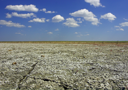 El “cáncer” de la tierra: cómo la salinización está volviendo estériles los campos de cultivo en México