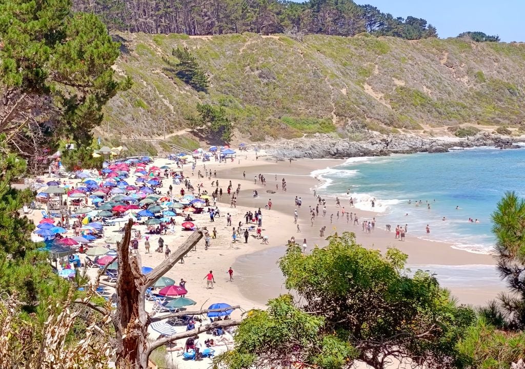 Playa El Canelo, Algarrobo, Chile. Playa El Canelo, Algarrobo, Chile.