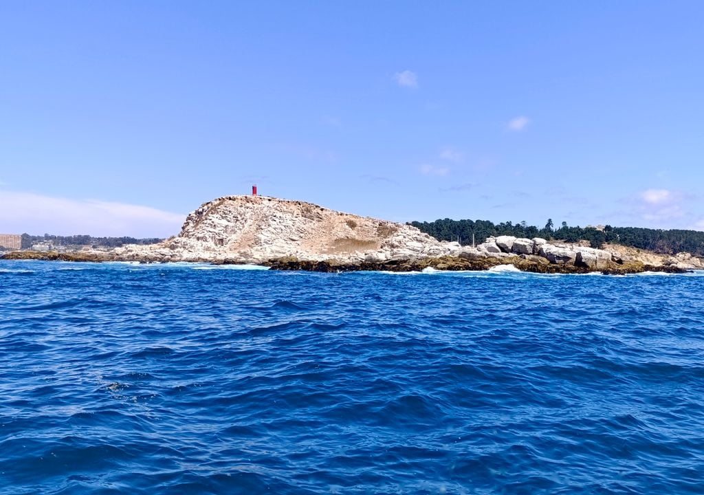 Islote Pájaros Niños, Santuario de la Naturaleza de la Región de Valparaíso. Islote Pájaros Niños, Santuario de la Naturaleza de la Región de Valparaíso.