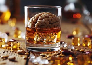 El cerebro se recupera tras 7 meses de no consumir alcohol: estudio esperanzador para quienes combaten las adicciones 