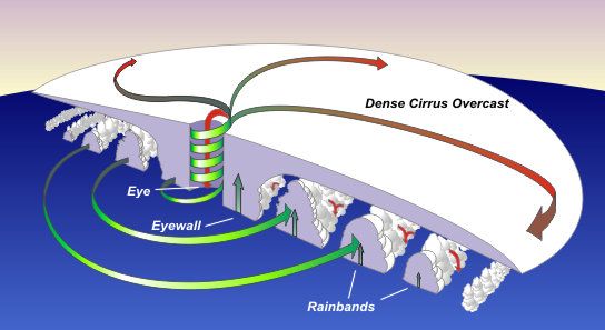 Las principales partes de un ciclón tropical o huracán son el “ojo central”, las bandas de nubes de lluvia convectiva alrededor del ojo y el muro nuboso alrededor del ojo. El aire en capas bajas gira en espiral hacia el centro en sentido contrario a las agujas del reloj (sentido a favor) en el hemisferio norte (hemisferio sur) mientras que asciende y genera focos convectivos y tormentas. En niveles superiores diverge, creando una capa densa de nubosidad alta. En el centro del huracán, el aire desciende y libera la zona de nubes, creando el ojo del ciclón.Imagen tomada de weather.gov