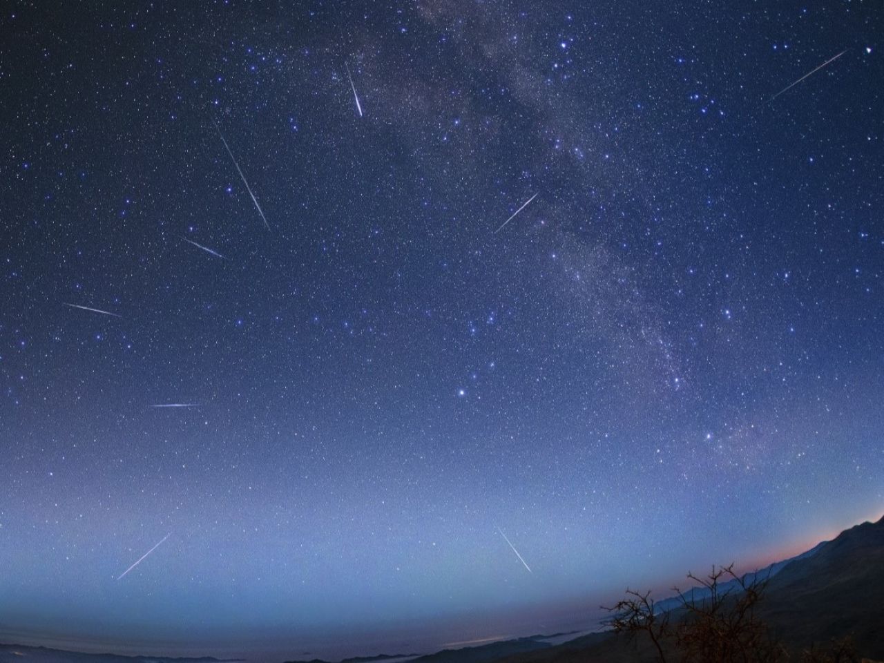 Líridas en los cielos australes Crédito: Yuri Beletsky (Observatorio Las Campanas, Carnegie Institution)