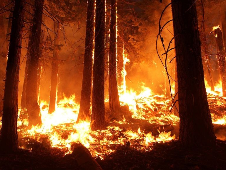 incendios forestales en el ártico. Récord de temperatura en Alaska. Consecuencias del cambio climático incendios forestales en el ártico. Récord de temperatura en Alaska. Consecuencias del cambio climático