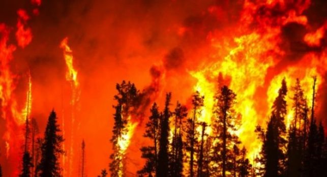 El Clima Se Convierte En El Principal Problema Electoral Sueco Después De Incendios Forestales