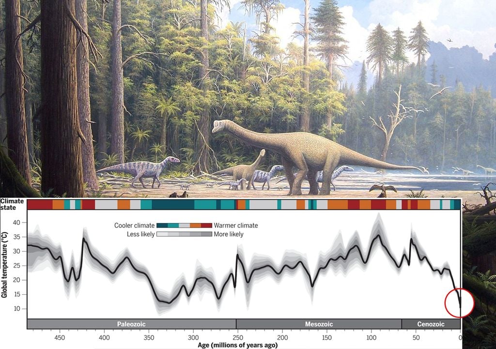 Phanerozoic temperature