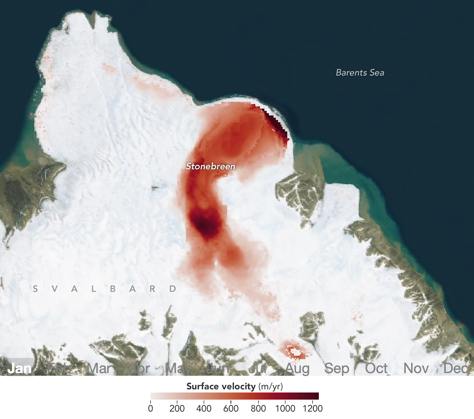 Una animación de parte de una isla del archipiélago de Svalbard muestra un terreno cubierto de hielo centrado en un glaciar que fluye hacia el azul oscuro del mar de Barents en la parte superior. Los tonos rojos a lo largo del glaciar parecen pulsar de claro a oscuro, lo que indica cambios estacionales en la velocidad del glaciar: más lento en invierno y primavera, y más rápido en verano. NASA