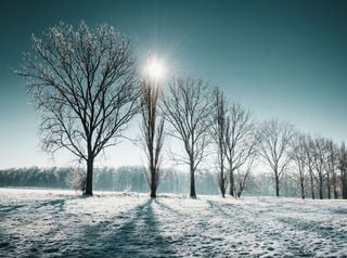 Le giornate si stanno allungando sempre più a gennaio: a che ora alba e tramonto in Italia?