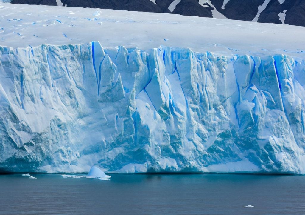 El estudio demuestra que estas algas aparecen tanto en glaciares como en campos de nieve costeros