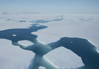 El derretimiento de las capas de hielo ralentizará la corriente más fuerte de la Tierra