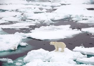 El derretimiento del hielo del Ártico ha pasado el punto de no retorno