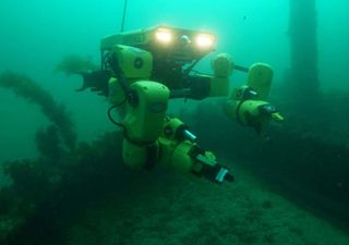 El desaf&iacute;o que invita a escolares de Chile a hackear los problemas del oc&eacute;ano (y viajar a Canad&aacute;)