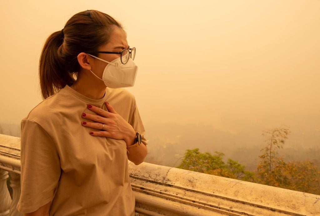 La contaminación del aire es uno de los mayores riesgos ambientales que existen para la salud.