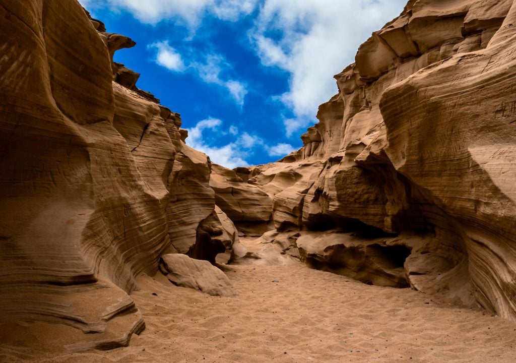 Quebrada Carrizo, Antofagasta.