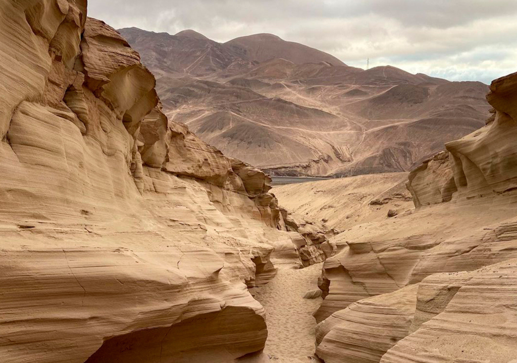 Quebrada Carrizo, norte de Chile.