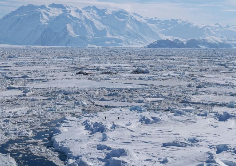 El deshielo de la Ant&aacute;rtida Occidental podr&iacute;a transformar de forma irreversible el continente