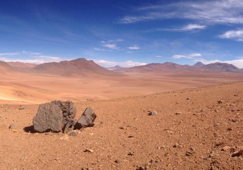 Aunque sus paisajes parecen estériles, el desierto de Atacama alberga comunidades de nematodos adaptadas a condiciones extremas de aridez.