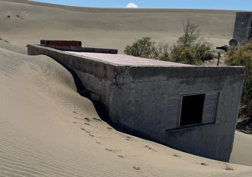 El médano que amenaza a Bahía Creek es parte de un sistema dunar activo, típico de ambientes áridos y costeros. Imagen: Delfina Ferreira.