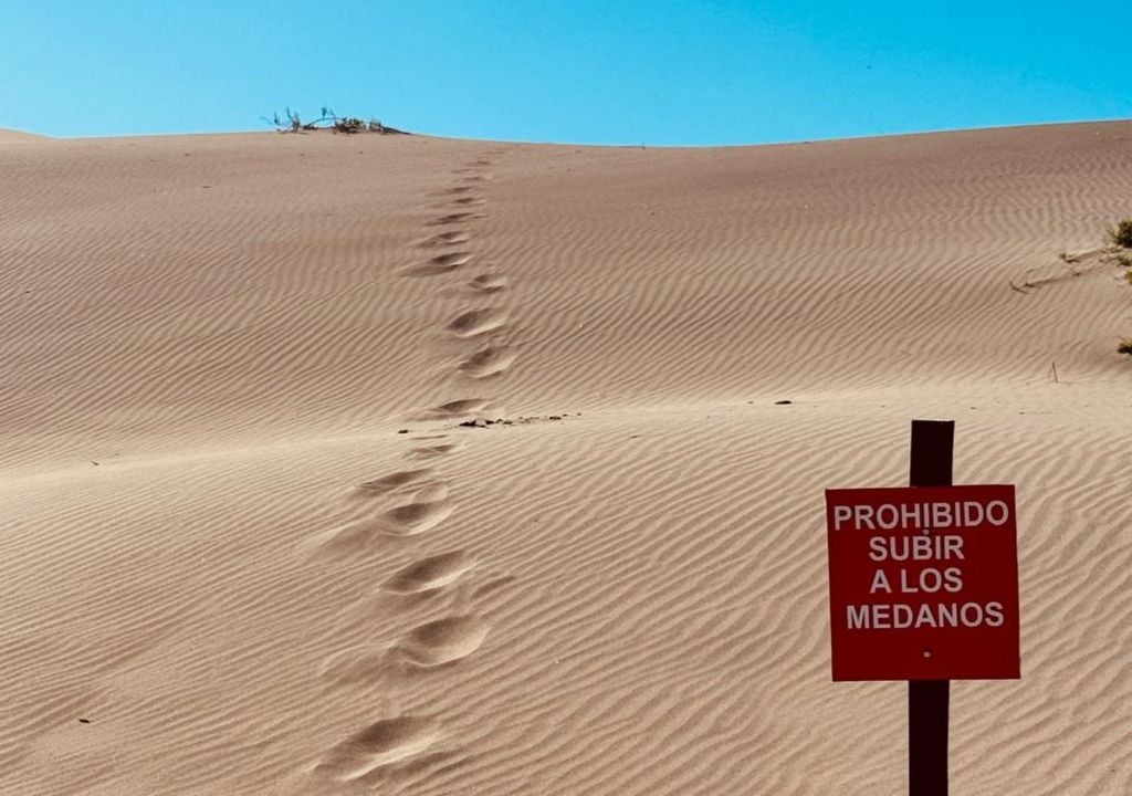 Las dunas forman parte del paisaje costero en la zona de Bahía Creek, y su comportamiento está íntimamente ligado con el ciclo de lluvias y el comportamiento del viento. Imagen: Delfina Ferreira