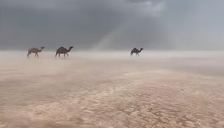 El desierto de Arabia Saud&iacute; se vuelve blanco: granizo e inundaciones transforman las dunas en un paisaje irreconocible