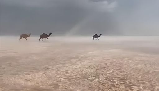 El desierto de Arabia Saud&iacute; se vuelve blanco: granizo e inundaciones transforman las dunas en un paisaje irreconocible