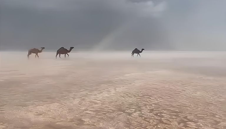 El desierto de Arabia Saud&iacute; se vuelve blanco: granizo e inundaciones transforman las dunas en un paisaje irreconocible