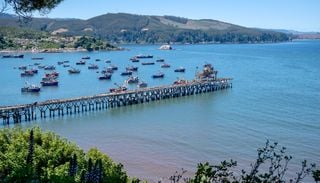 El destino del Biob&iacute;o que esconde una mina bajo el mar: c&oacute;mo visitar esta joya patrimonial desde Santiago