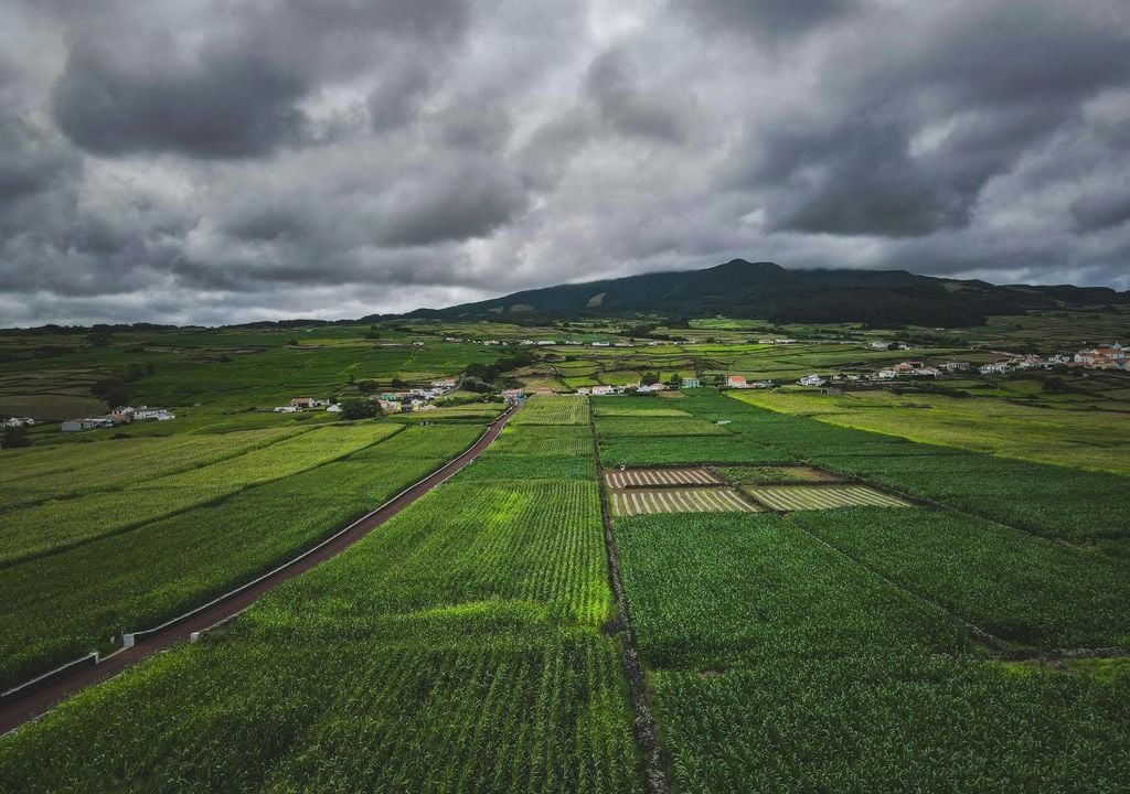 Una de las principales reivindicaciones es la falta de rentabilidad de las explotaciones agrarias