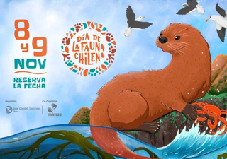 El Día de la Fauna 2025 llevará al MIM un festival por la naturaleza chilena
