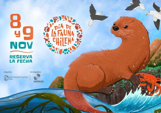 El Día de la Fauna 2025 llevará al MIM en un festival por la naturaleza chilena