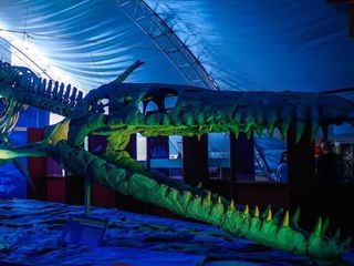 El día que encontraron en Nuevo León al verdadero 'Kraken': la historia del reptil marino más grande jamás descubierto