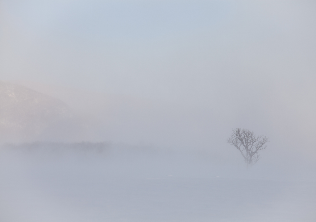 Un fenómeno de whiteout: niebla y partículas en suspensión borran el horizonte, haciendo que cielo y tierra se fundan en un mismo blanco.