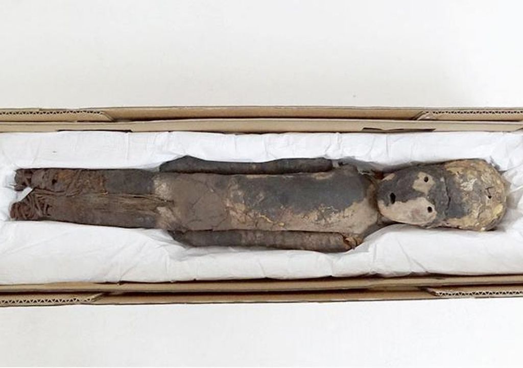 Párvulo momificado perteneciente al Museo de Historia Natural de Valparaíso. Foto: MNHN.