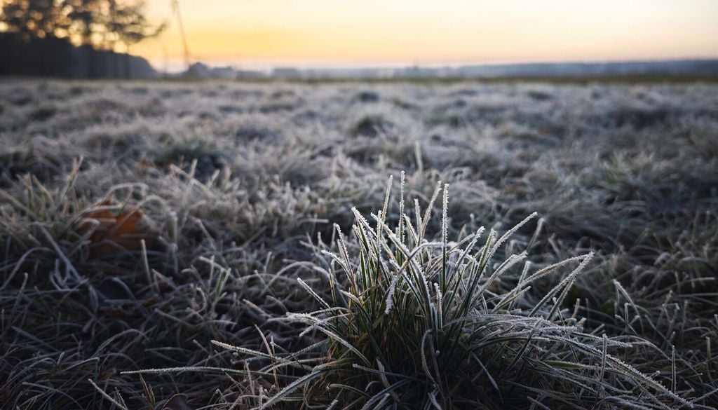 Las heladas tardías no siempre son fáciles de anticipar a simple vista: una tarde templada puede dar paso a una madrugada con temperaturas capaces de dañar los tejidos más tiernos.