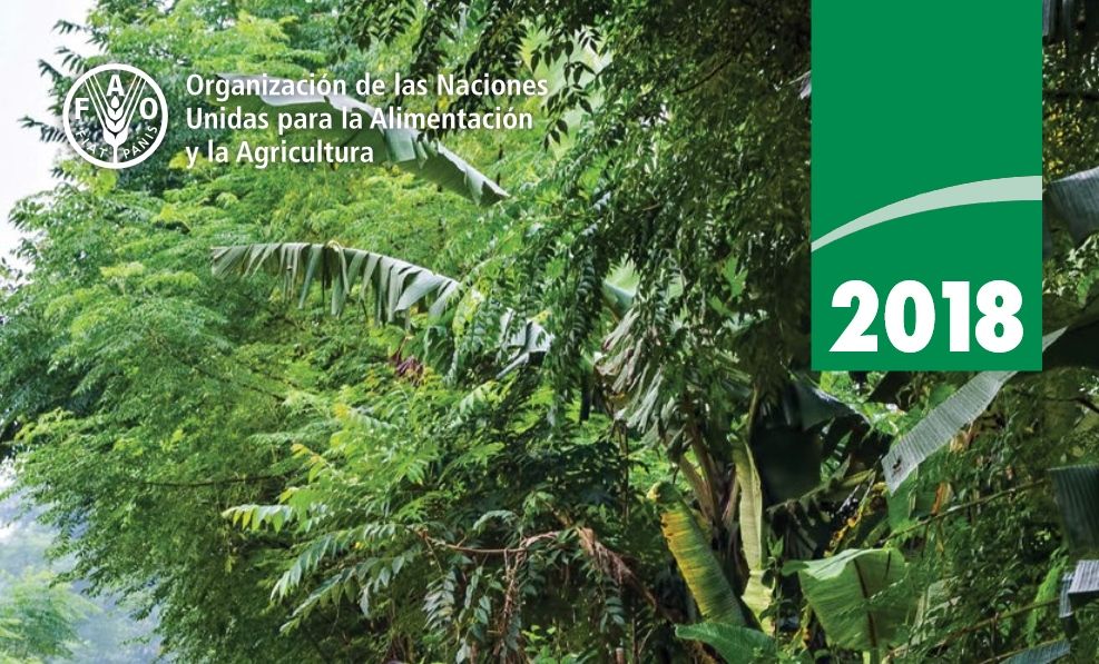 El Estado De Los Bosques En El Mundo El Estado De Los Bosques En El Mundo