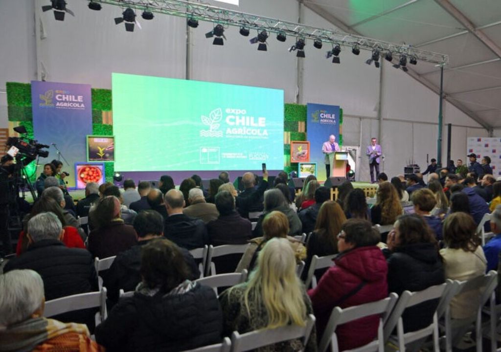 Talleres expo Chile Talleres expo Chile