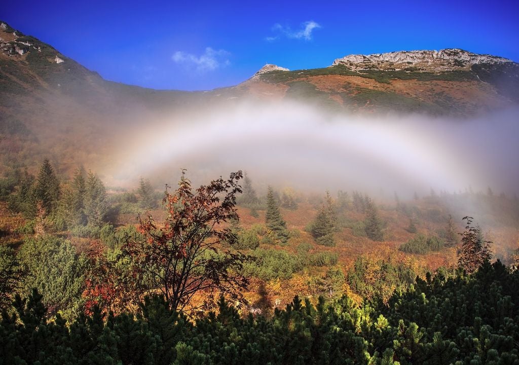 arcoiris Más difusos y casi sin color, los arcos de niebla son una versión sutil del arcoíris tradicional.