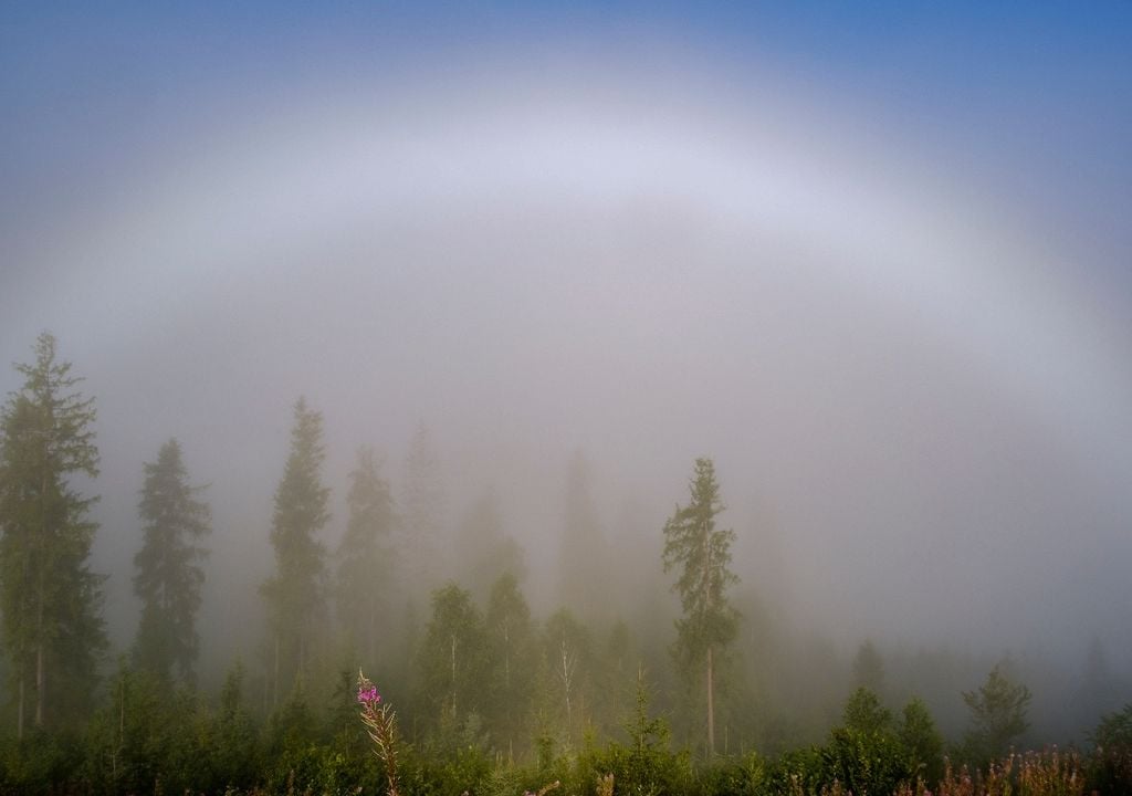 arcoíris Arcoíris de niebla: un arco tenue y blanquecino que aparece cuando la luz atraviesa gotas muy pequeñas en la atmósfera.