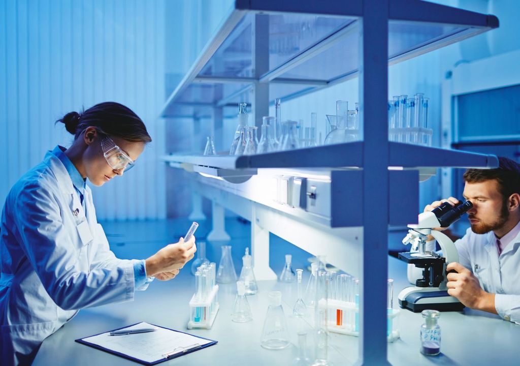 Investigadores Investigadores
