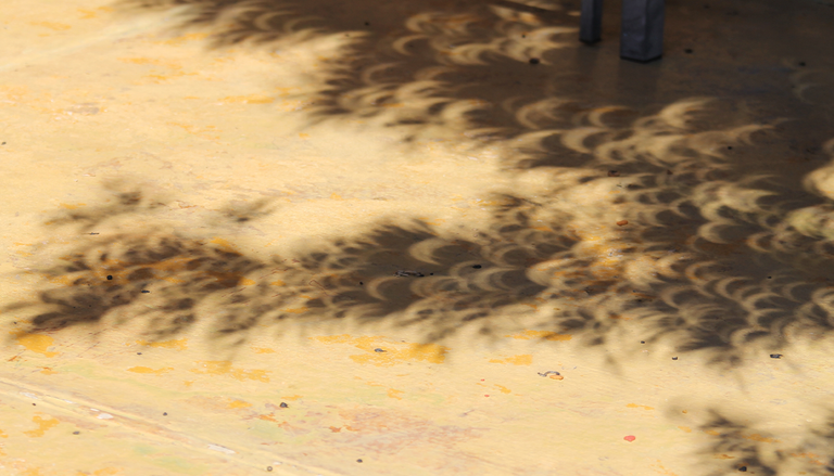 El fen&oacute;meno de las sombras en el eclipse solar: por qu&eacute; las hojas de los &aacute;rboles proyectar&aacute;n miles de lunas