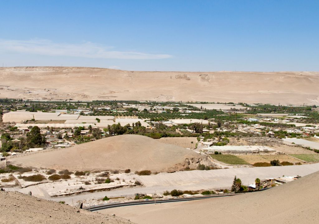 Valle de Azapa, Región de Arica y Parinacota. Valle de Azapa, Región de Arica y Parinacota.