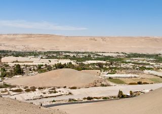 El fértil oasis a sólo 20 minutos de Arica que guarda un sorprendente tesoro arqueológico