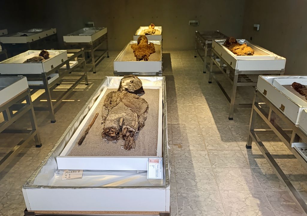 Momias Chinchorro en museo de Azapa. Momias Chinchorro en museo de Azapa.