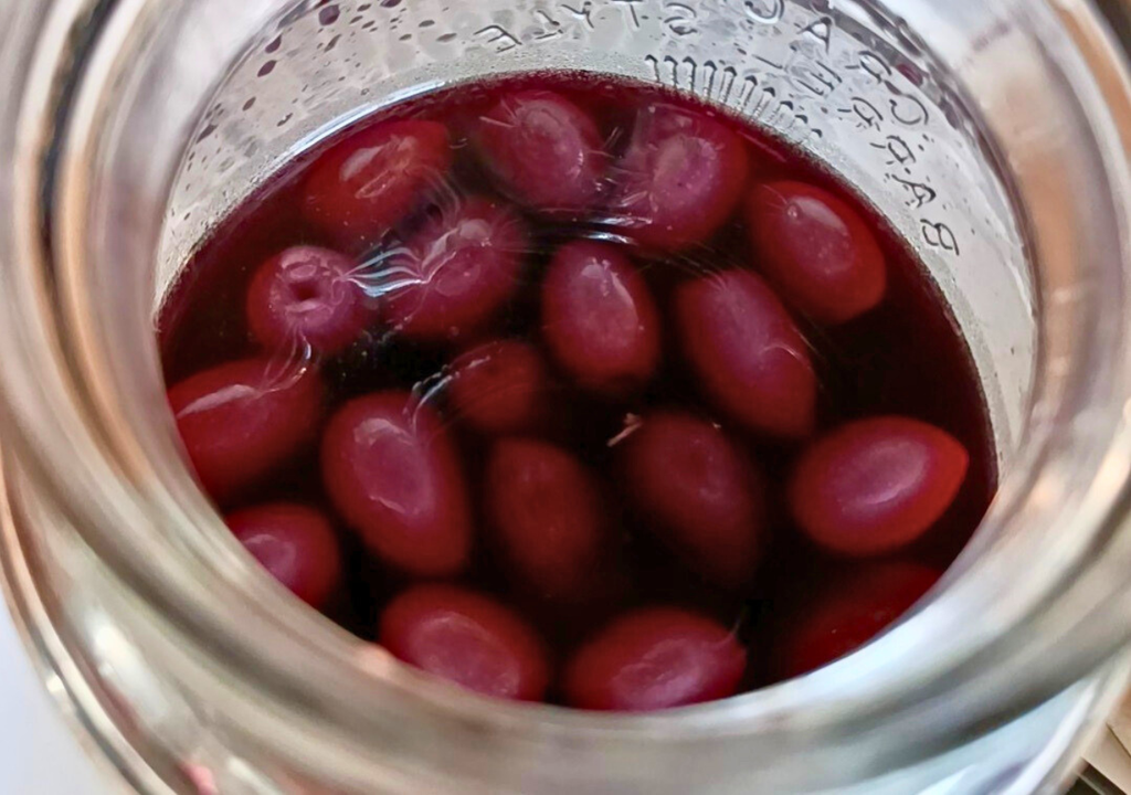 Aceitunas de Azapa. Aceitunas de Azapa.