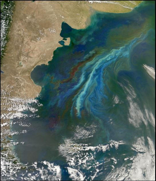 El Fitoplancton Aumenta El Albedo De Las Nubes Que Rodean La Antártida El Fitoplancton Aumenta El Albedo De Las Nubes Que Rodean La Antártida