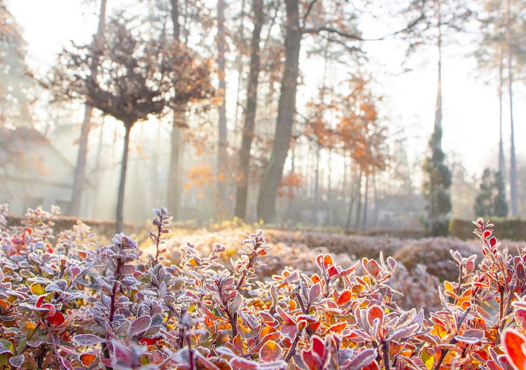 Noviembre con más días fríos