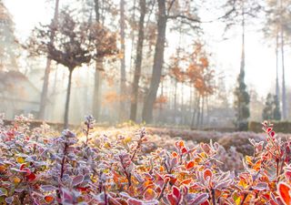 El frío aumentará en noviembre