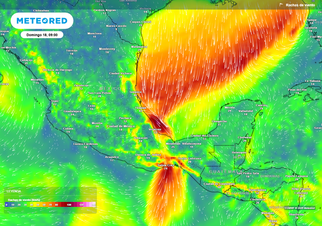 Evento "Norte" fuerte a severo comenzará el sábado y se extenderá el domingo en el Golfo de México y el Istmo con más de 100 km/h.