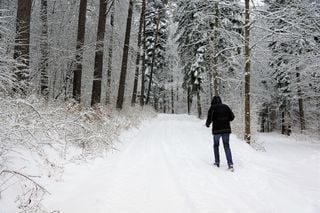 El frío y la nieve llegan a Europa... ¿también a España?