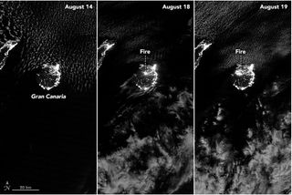 El fuego arrasa la isla de Gran Canaria, informa la NASA