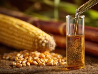 El futuro energ&eacute;tico podr&iacute;a estar en el ma&iacute;z y la ca&ntilde;a: los biocombustibles que quieren jubilar al petr&oacute;leo